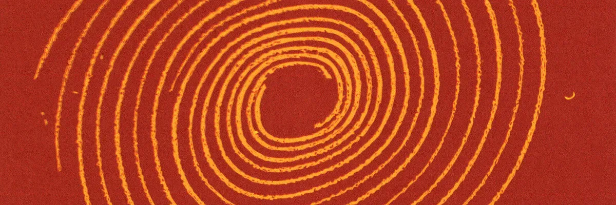 Lost Frequencies & Nathan Nicholson – So Much Beauty (Around Us)