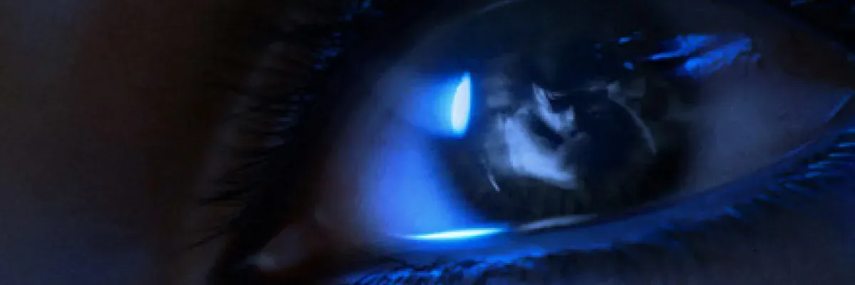 Timmy Trumpet - Not A Place