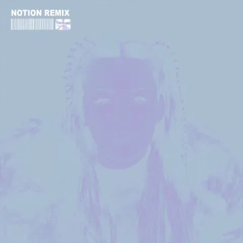 Chrystal - THE DAYS (Notion Remix)