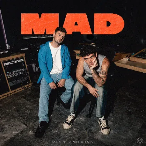 Martin Garrix - Mad